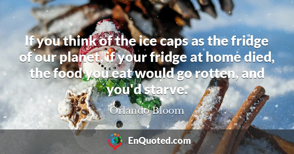If you think of the ice caps as the fridge of our planet, if your fridge at home died, the food you eat would go rotten, and you'd starve.