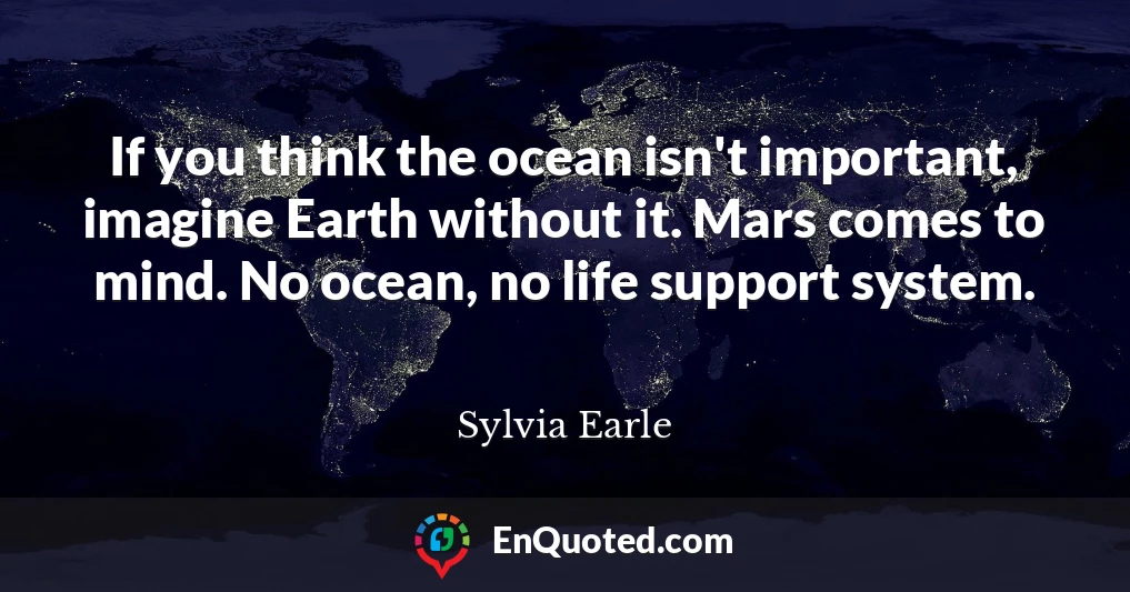 If you think the ocean isn't important, imagine Earth without it. Mars comes to mind. No ocean, no life support system.
