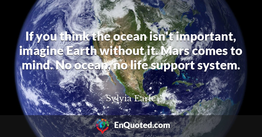 If you think the ocean isn't important, imagine Earth without it. Mars comes to mind. No ocean, no life support system.