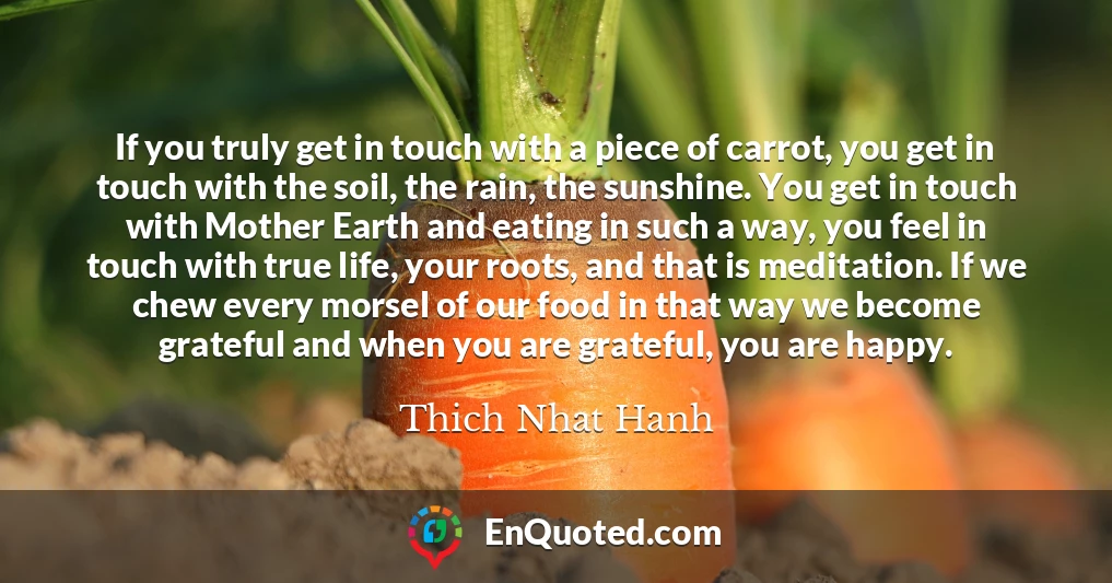 If you truly get in touch with a piece of carrot, you get in touch with the soil, the rain, the sunshine. You get in touch with Mother Earth and eating in such a way, you feel in touch with true life, your roots, and that is meditation. If we chew every morsel of our food in that way we become grateful and when you are grateful, you are happy.