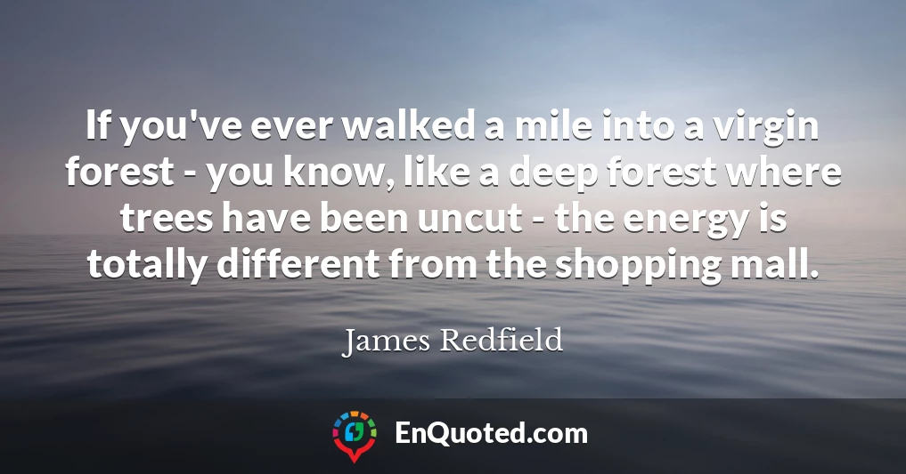 If you've ever walked a mile into a virgin forest - you know, like a deep forest where trees have been uncut - the energy is totally different from the shopping mall.