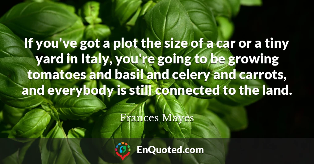 If you've got a plot the size of a car or a tiny yard in Italy, you're going to be growing tomatoes and basil and celery and carrots, and everybody is still connected to the land.
