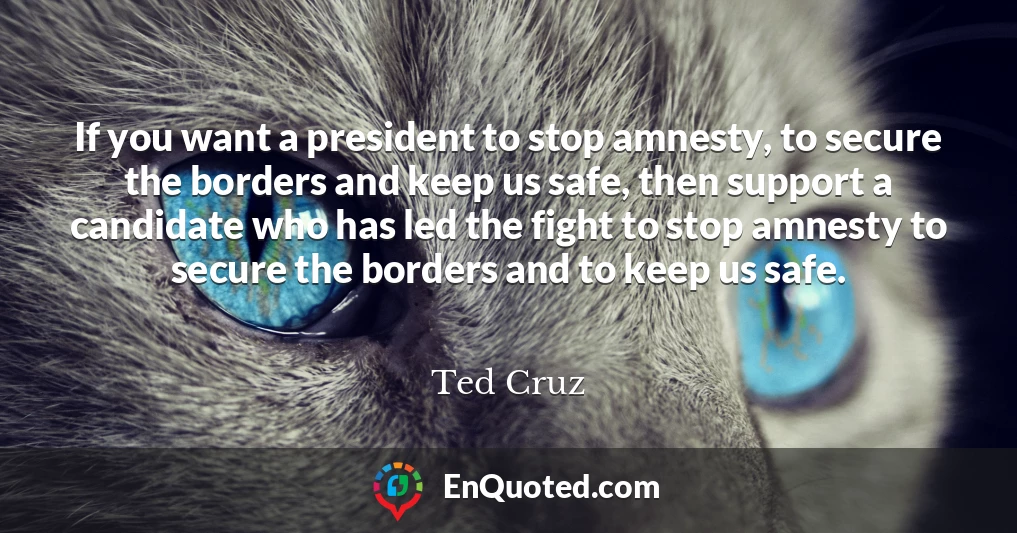If you want a president to stop amnesty, to secure the borders and keep us safe, then support a candidate who has led the fight to stop amnesty to secure the borders and to keep us safe.