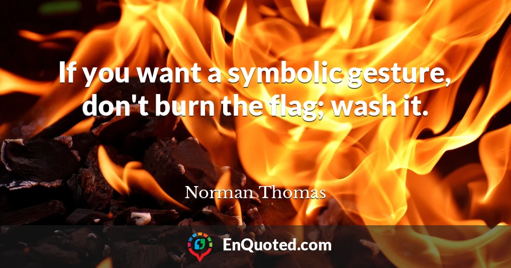 If you want a symbolic gesture, don't burn the flag; wash it.