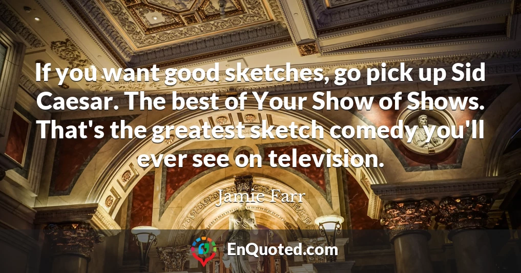 If you want good sketches, go pick up Sid Caesar. The best of Your Show of Shows. That's the greatest sketch comedy you'll ever see on television.