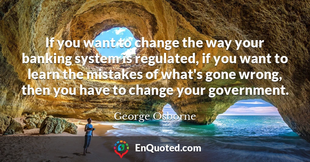 If you want to change the way your banking system is regulated, if you want to learn the mistakes of what's gone wrong, then you have to change your government.