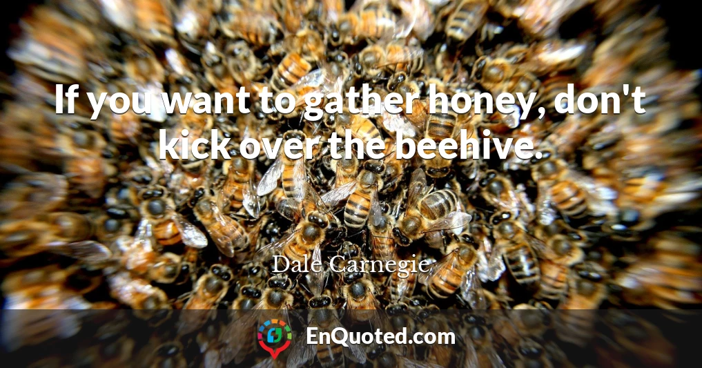 If you want to gather honey, don't kick over the beehive.