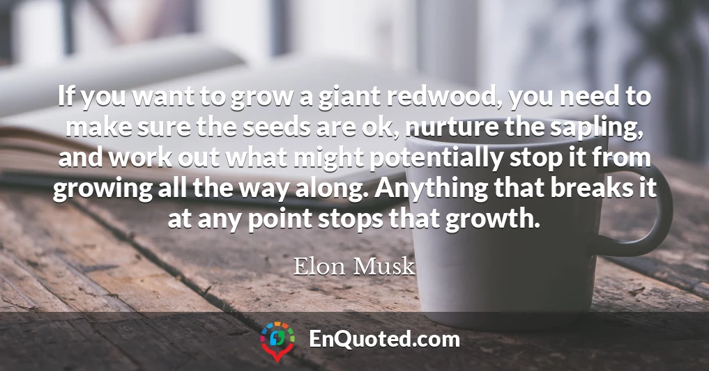 If you want to grow a giant redwood, you need to make sure the seeds are ok, nurture the sapling, and work out what might potentially stop it from growing all the way along. Anything that breaks it at any point stops that growth.