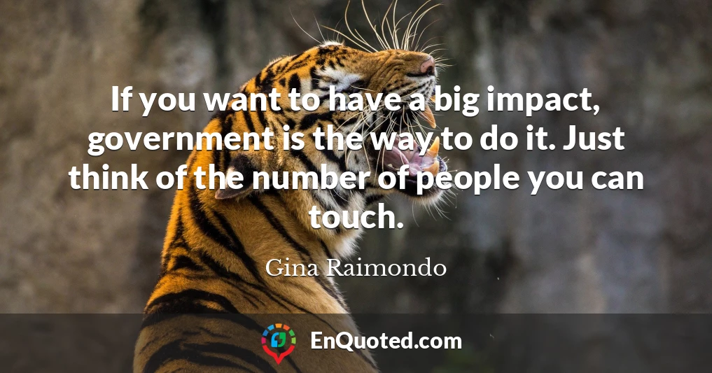 If you want to have a big impact, government is the way to do it. Just think of the number of people you can touch.