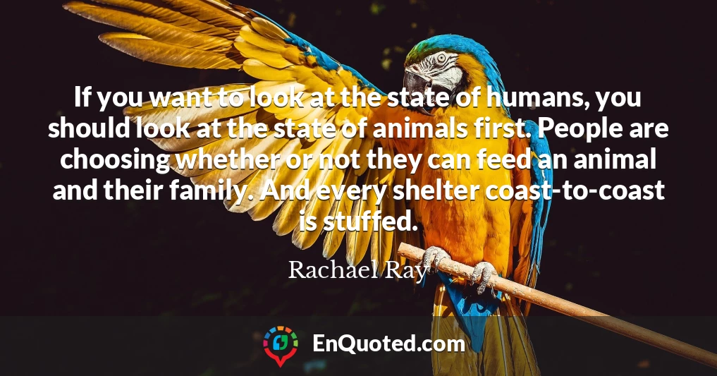 If you want to look at the state of humans, you should look at the state of animals first. People are choosing whether or not they can feed an animal and their family. And every shelter coast-to-coast is stuffed.