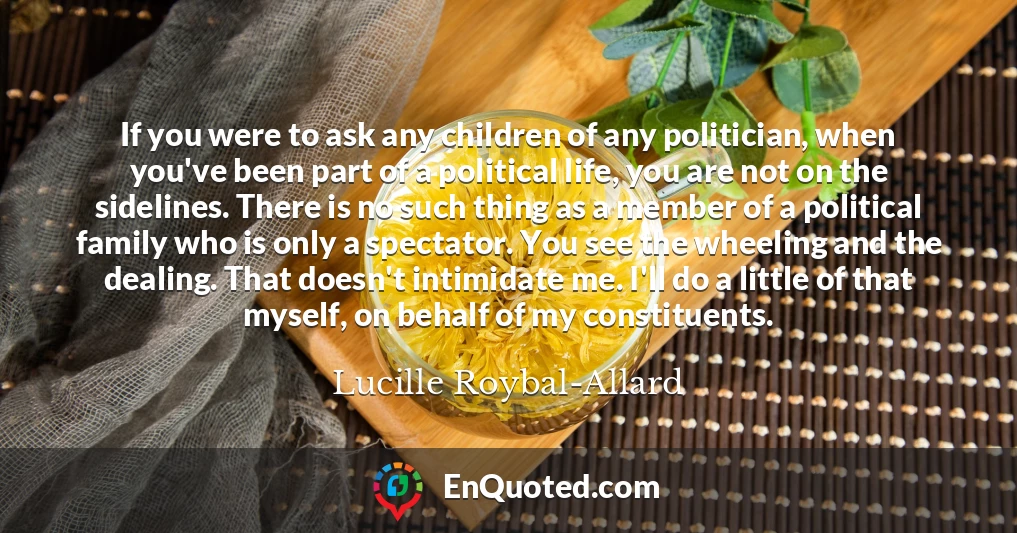 If you were to ask any children of any politician, when you've been part of a political life, you are not on the sidelines. There is no such thing as a member of a political family who is only a spectator. You see the wheeling and the dealing. That doesn't intimidate me. I'll do a little of that myself, on behalf of my constituents.