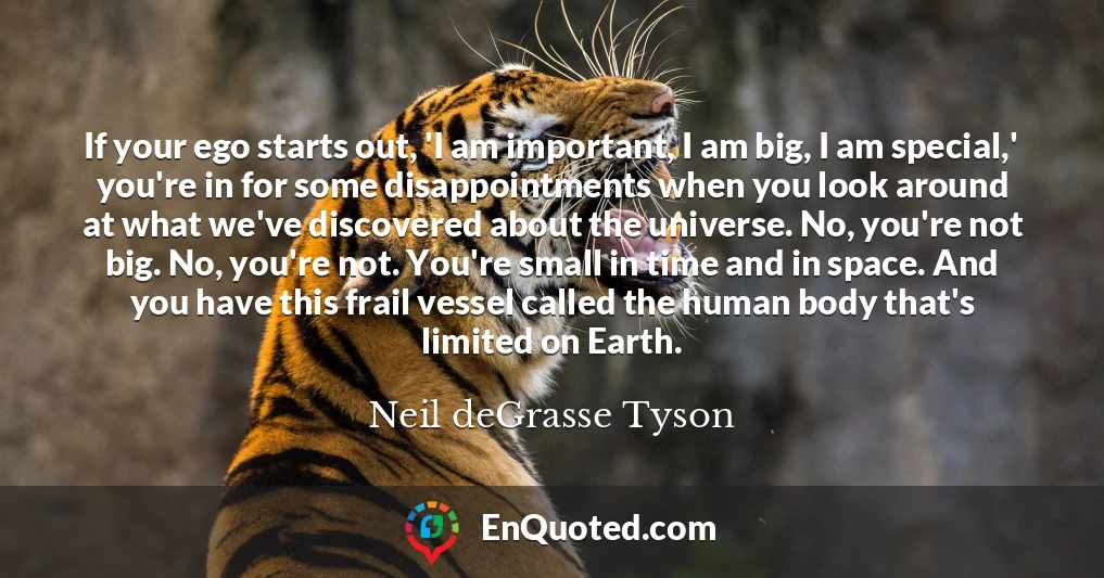If your ego starts out, 'I am important, I am big, I am special,' you're in for some disappointments when you look around at what we've discovered about the universe. No, you're not big. No, you're not. You're small in time and in space. And you have this frail vessel called the human body that's limited on Earth.