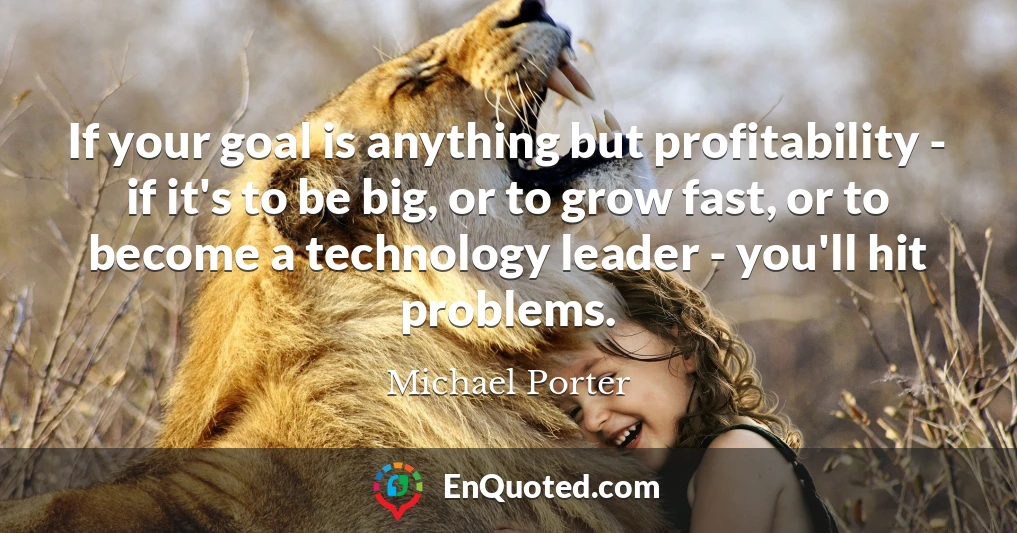 If your goal is anything but profitability - if it's to be big, or to grow fast, or to become a technology leader - you'll hit problems.