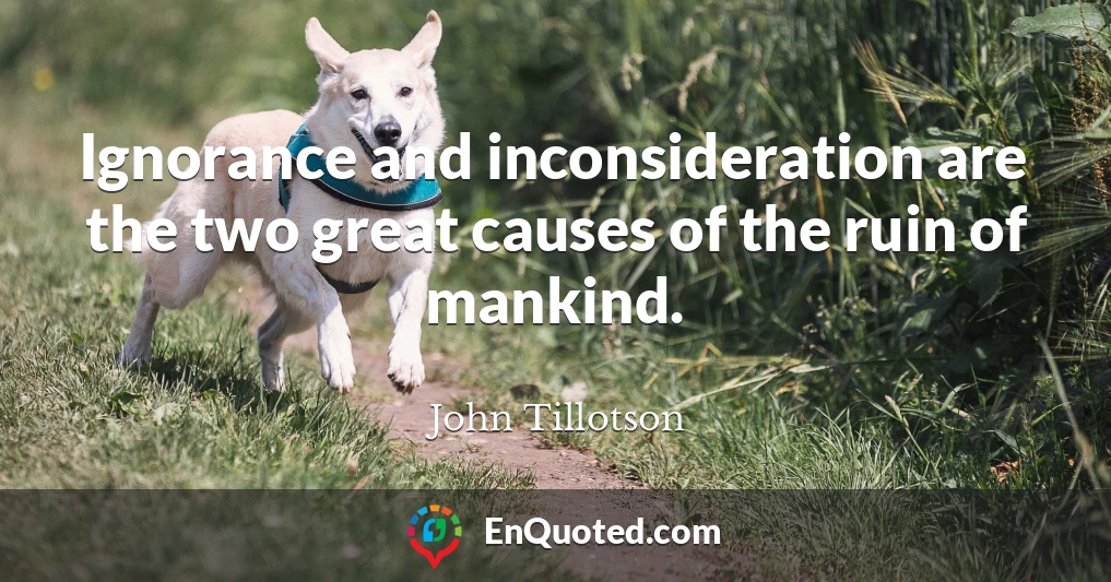 Ignorance and inconsideration are the two great causes of the ruin of mankind.
