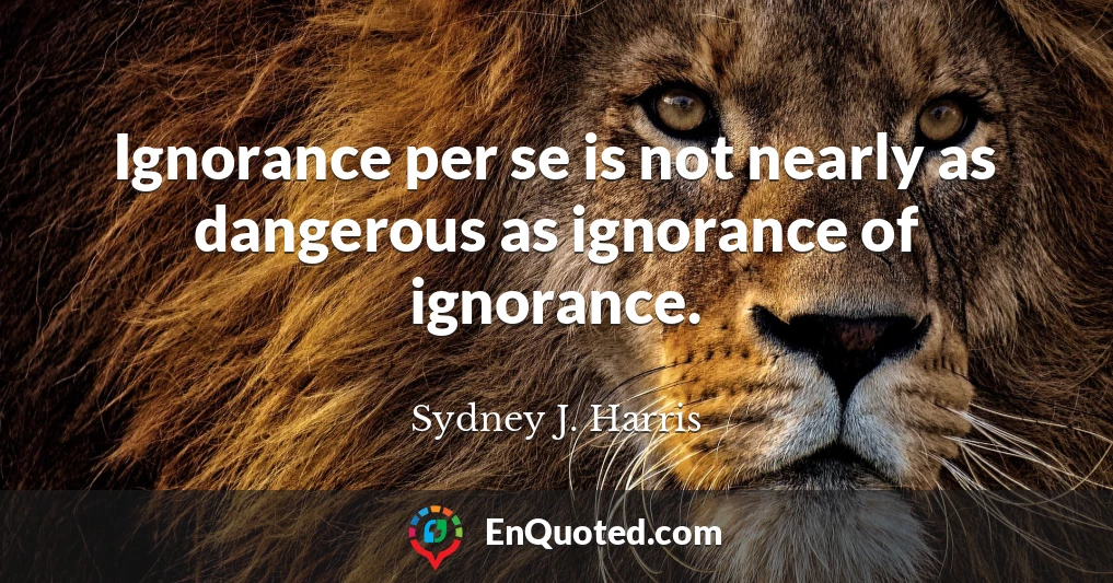 Ignorance per se is not nearly as dangerous as ignorance of ignorance.