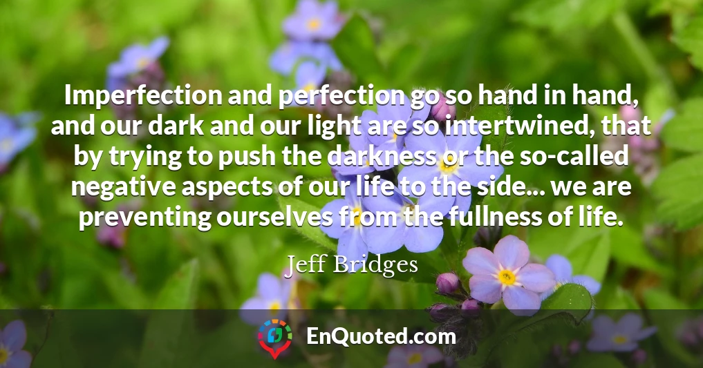 Imperfection and perfection go so hand in hand, and our dark and our light are so intertwined, that by trying to push the darkness or the so-called negative aspects of our life to the side... we are preventing ourselves from the fullness of life.