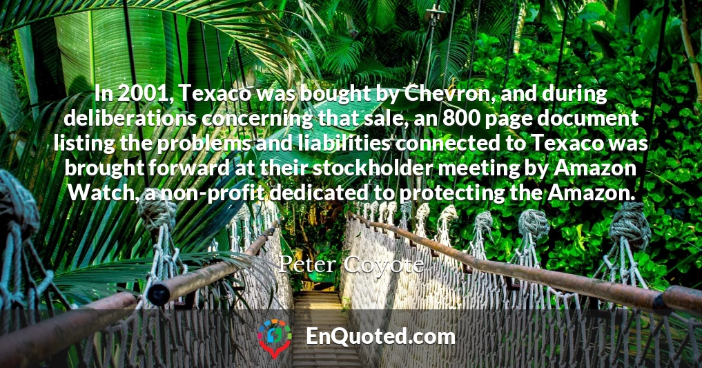 In 2001, Texaco was bought by Chevron, and during deliberations concerning that sale, an 800 page document listing the problems and liabilities connected to Texaco was brought forward at their stockholder meeting by Amazon Watch, a non-profit dedicated to protecting the Amazon.