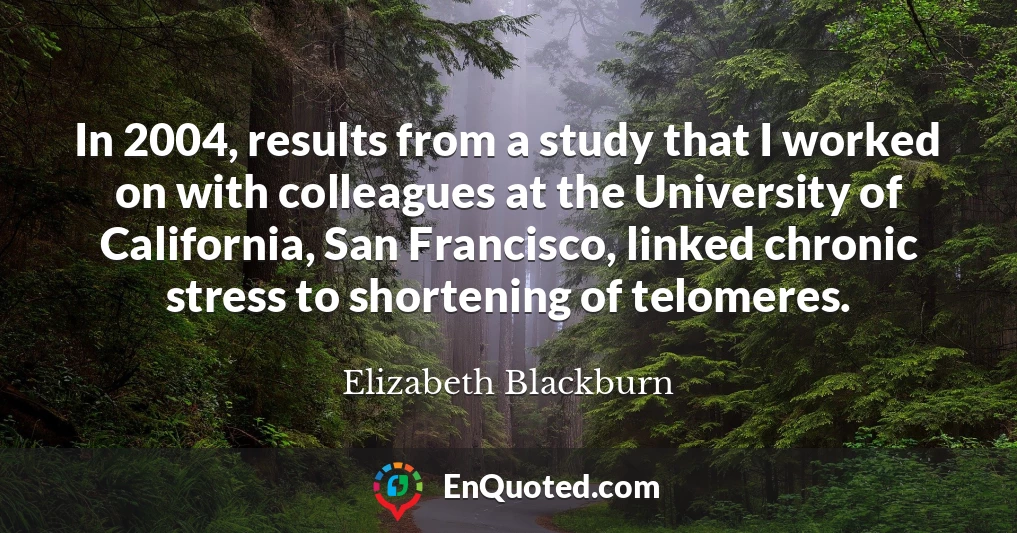 In 2004, results from a study that I worked on with colleagues at the University of California, San Francisco, linked chronic stress to shortening of telomeres.