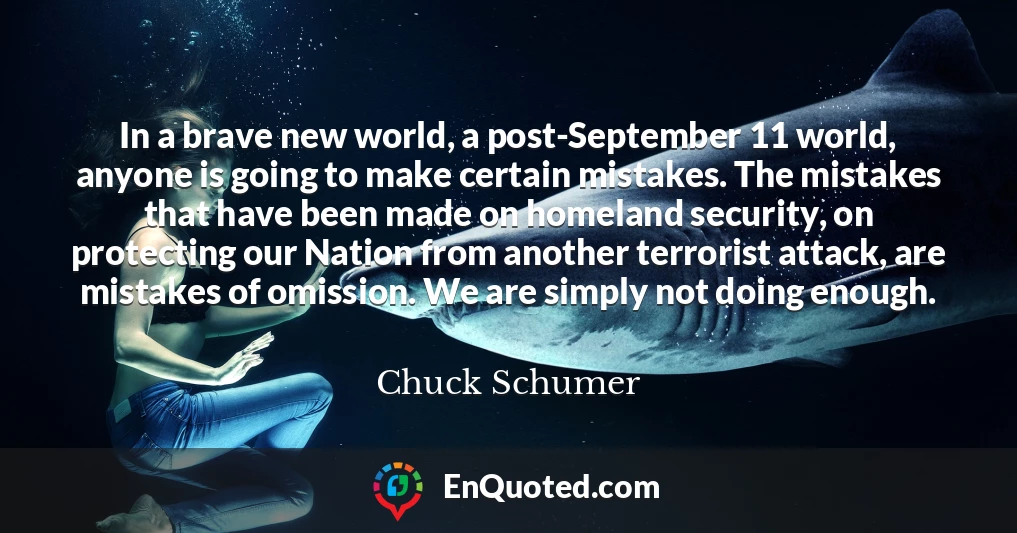In a brave new world, a post-September 11 world, anyone is going to make certain mistakes. The mistakes that have been made on homeland security, on protecting our Nation from another terrorist attack, are mistakes of omission. We are simply not doing enough.