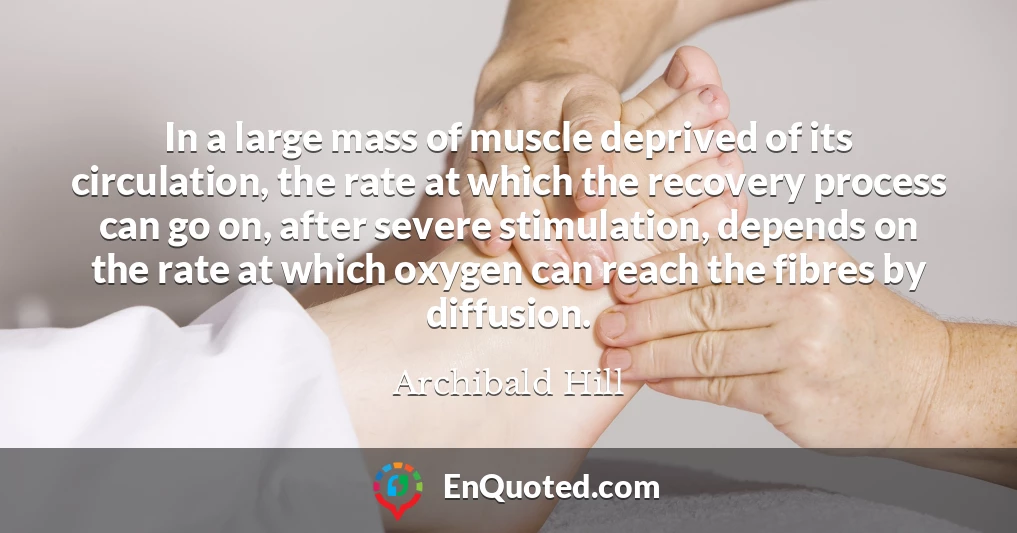 In a large mass of muscle deprived of its circulation, the rate at which the recovery process can go on, after severe stimulation, depends on the rate at which oxygen can reach the fibres by diffusion.
