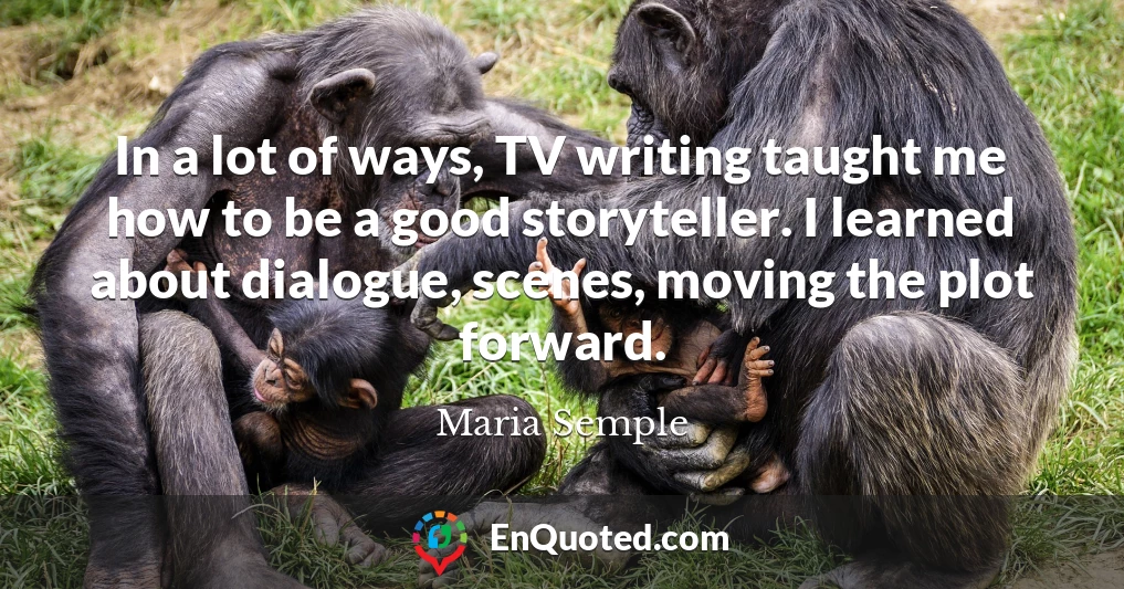 In a lot of ways, TV writing taught me how to be a good storyteller. I learned about dialogue, scenes, moving the plot forward.
