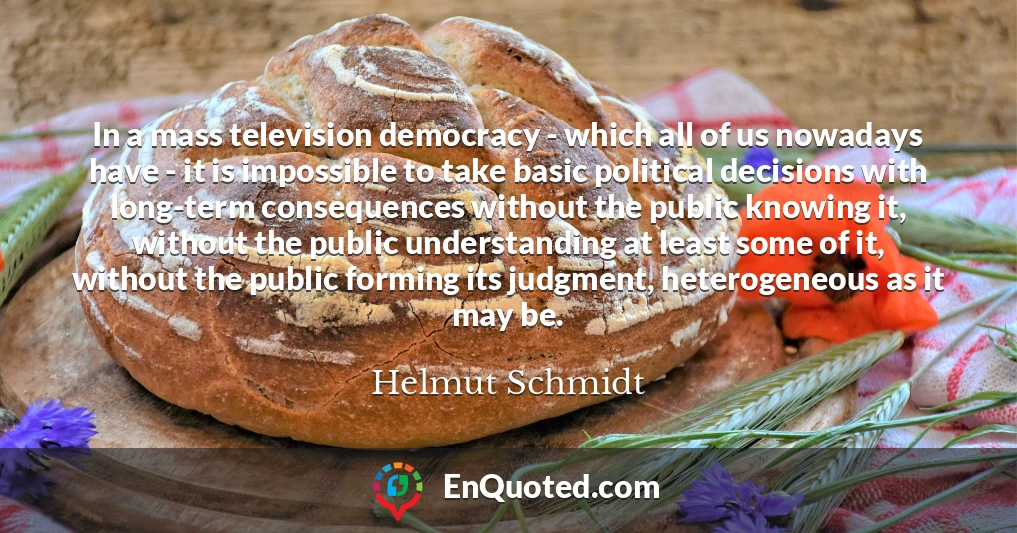 In a mass television democracy - which all of us nowadays have - it is impossible to take basic political decisions with long-term consequences without the public knowing it, without the public understanding at least some of it, without the public forming its judgment, heterogeneous as it may be.