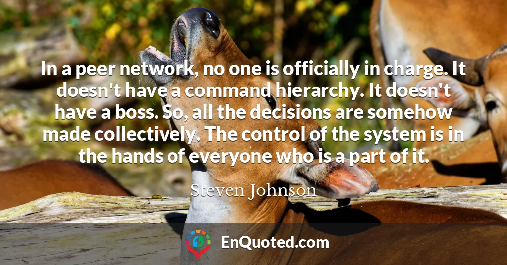 In a peer network, no one is officially in charge. It doesn't have a command hierarchy. It doesn't have a boss. So, all the decisions are somehow made collectively. The control of the system is in the hands of everyone who is a part of it.