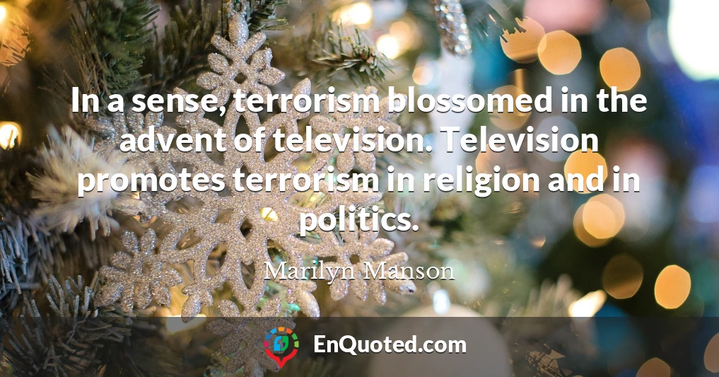 In a sense, terrorism blossomed in the advent of television. Television promotes terrorism in religion and in politics.