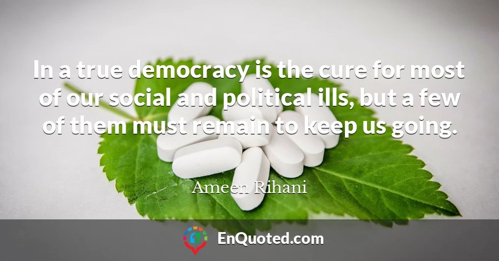 In a true democracy is the cure for most of our social and political ills, but a few of them must remain to keep us going.