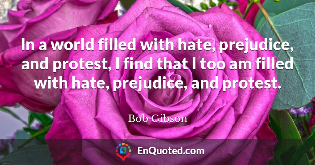 In a world filled with hate, prejudice, and protest, I find that I too am filled with hate, prejudice, and protest.