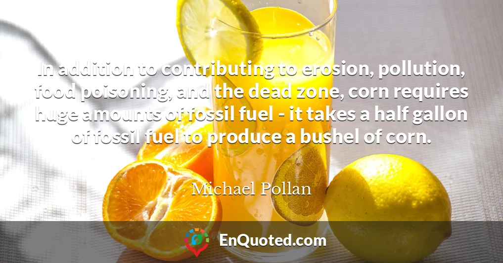 In addition to contributing to erosion, pollution, food poisoning, and the dead zone, corn requires huge amounts of fossil fuel - it takes a half gallon of fossil fuel to produce a bushel of corn.