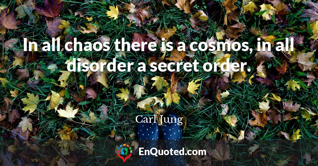 In all chaos there is a cosmos, in all disorder a secret order.