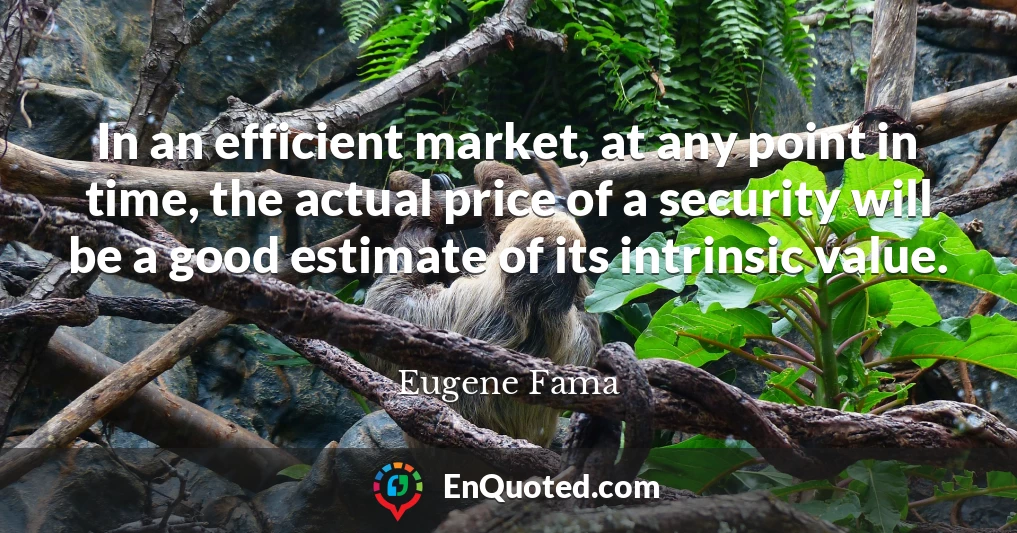 In an efficient market, at any point in time, the actual price of a security will be a good estimate of its intrinsic value.