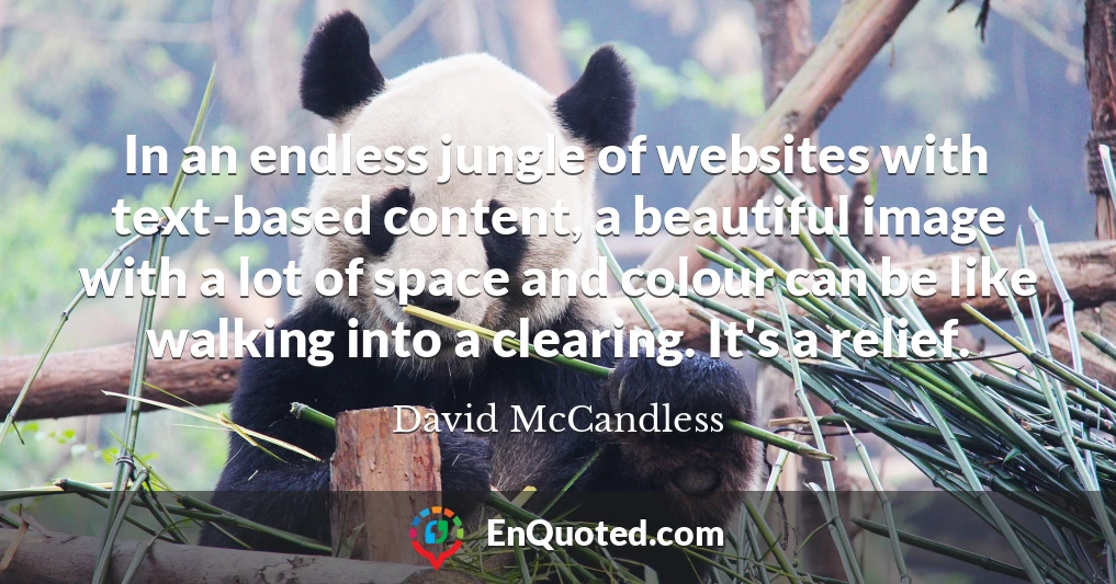 In an endless jungle of websites with text-based content, a beautiful image with a lot of space and colour can be like walking into a clearing. It's a relief.