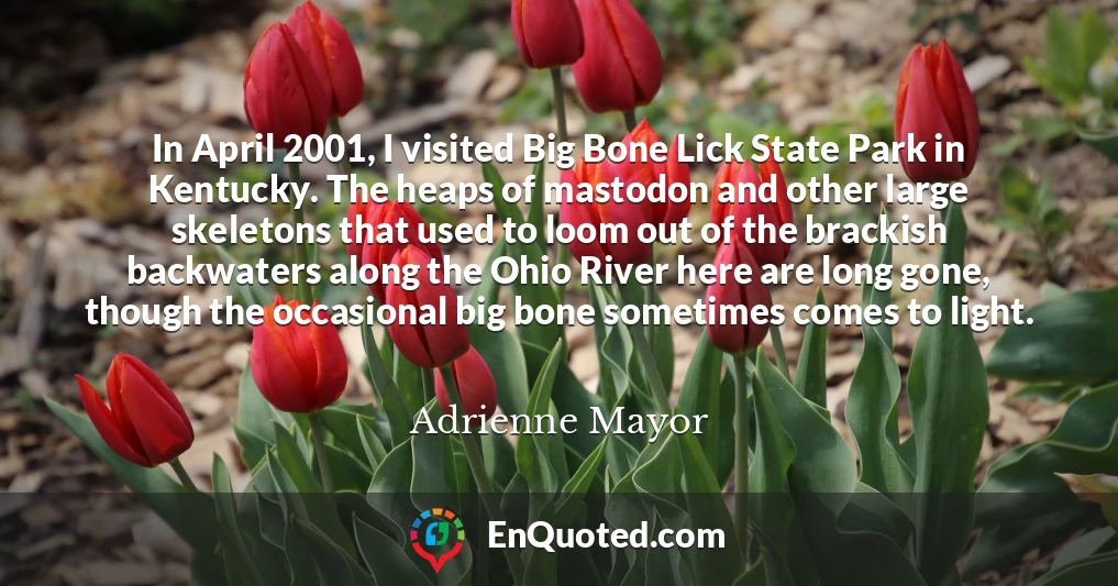 In April 2001, I visited Big Bone Lick State Park in Kentucky. The heaps of mastodon and other large skeletons that used to loom out of the brackish backwaters along the Ohio River here are long gone, though the occasional big bone sometimes comes to light.