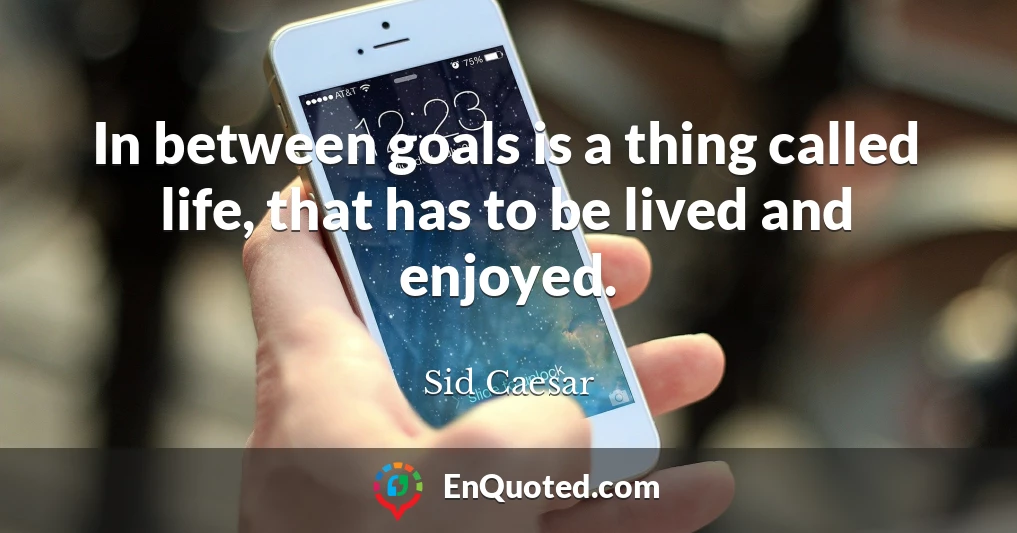 In between goals is a thing called life, that has to be lived and enjoyed.