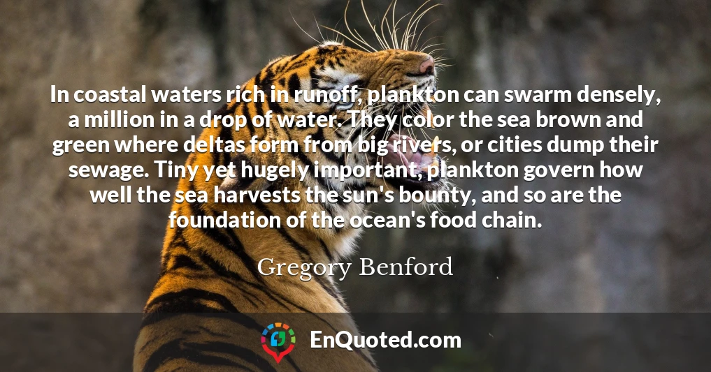 In coastal waters rich in runoff, plankton can swarm densely, a million in a drop of water. They color the sea brown and green where deltas form from big rivers, or cities dump their sewage. Tiny yet hugely important, plankton govern how well the sea harvests the sun's bounty, and so are the foundation of the ocean's food chain.