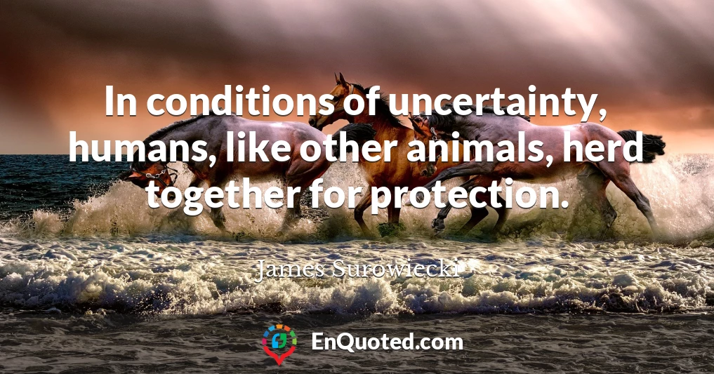 In conditions of uncertainty, humans, like other animals, herd together for protection.