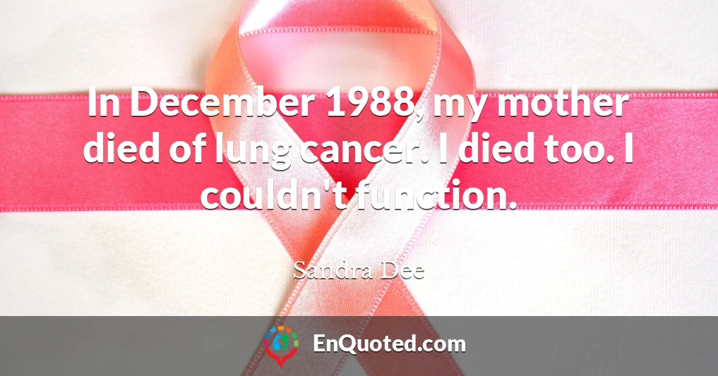 In December 1988, my mother died of lung cancer. I died too. I couldn't function.