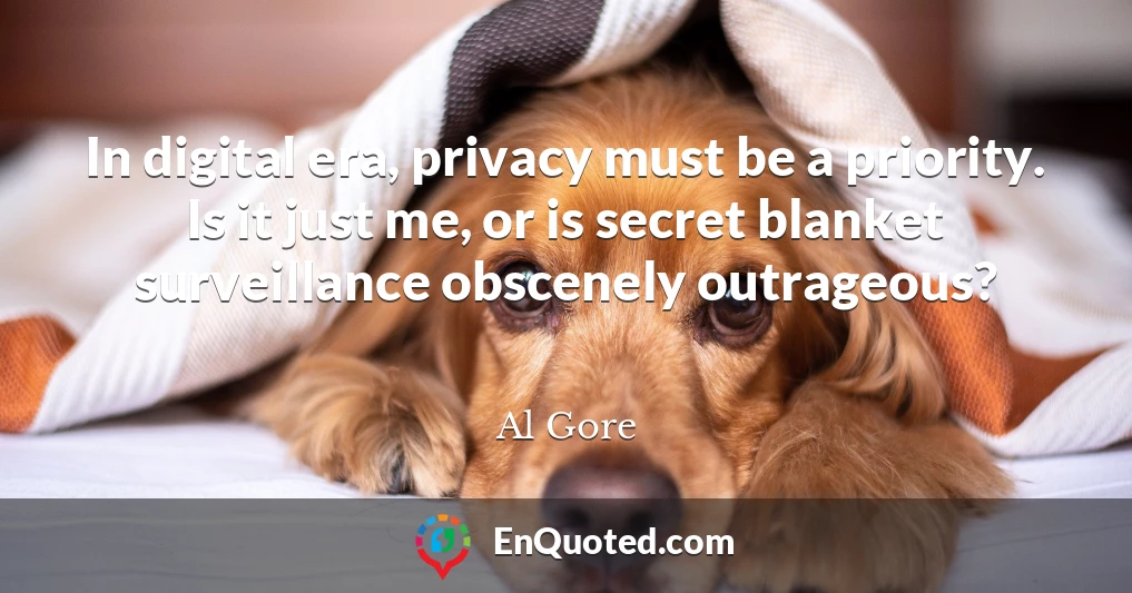 In digital era, privacy must be a priority. Is it just me, or is secret blanket surveillance obscenely outrageous?