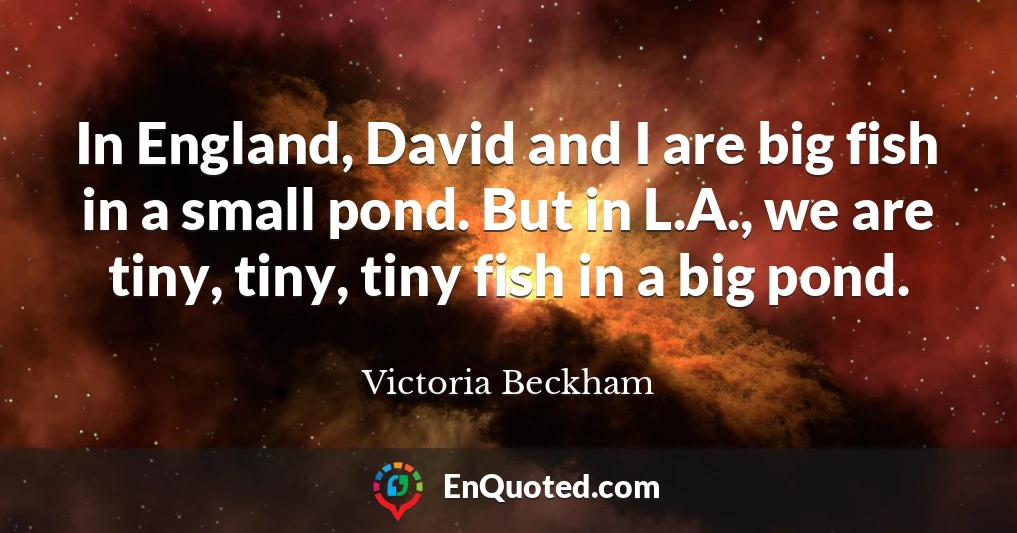 In England, David and I are big fish in a small pond. But in L.A., we are tiny, tiny, tiny fish in a big pond.