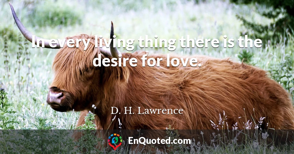 In every living thing there is the desire for love.
