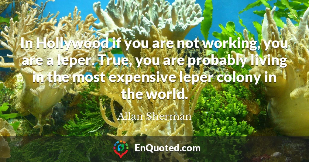 In Hollywood if you are not working, you are a leper. True, you are probably living in the most expensive leper colony in the world.