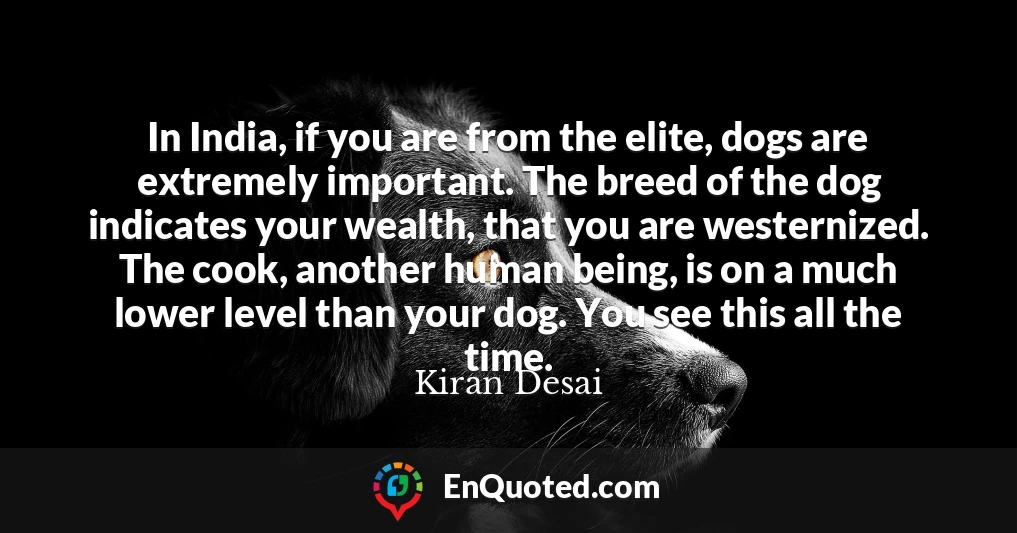 In India, if you are from the elite, dogs are extremely important. The breed of the dog indicates your wealth, that you are westernized. The cook, another human being, is on a much lower level than your dog. You see this all the time.