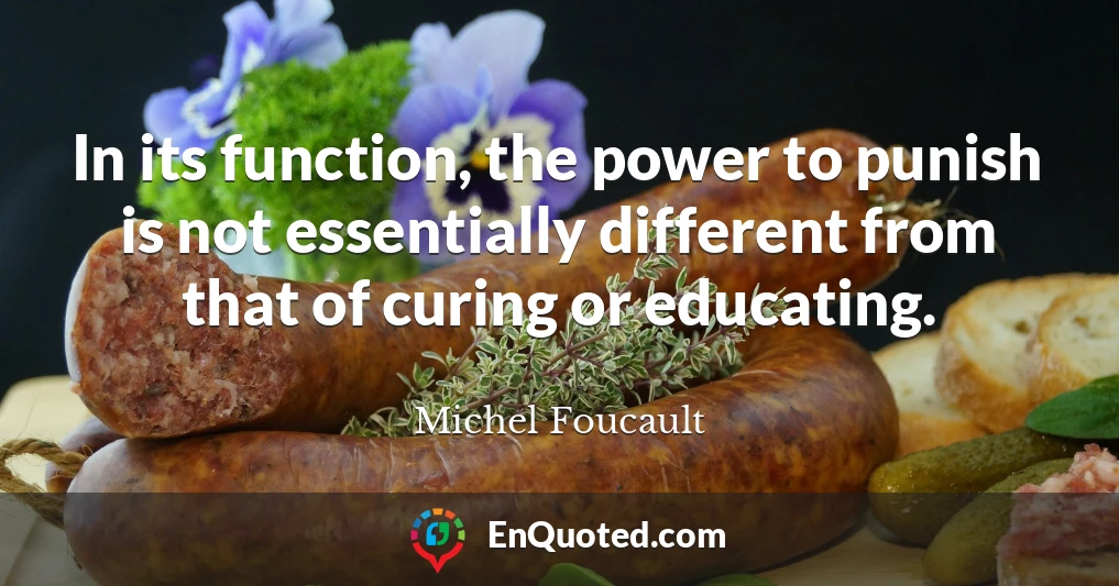 In its function, the power to punish is not essentially different from that of curing or educating.
