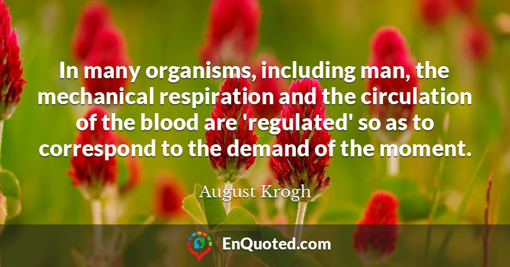 In many organisms, including man, the mechanical respiration and the circulation of the blood are 'regulated' so as to correspond to the demand of the moment.