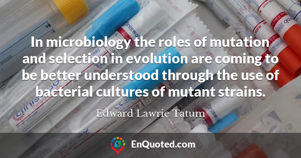 In microbiology the roles of mutation and selection in evolution are coming to be better understood through the use of bacterial cultures of mutant strains.