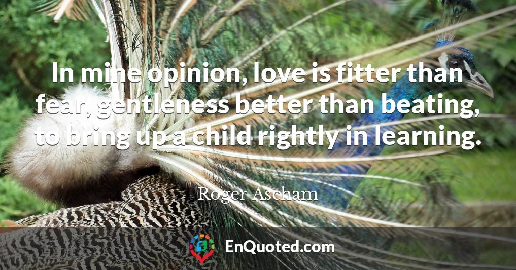 In mine opinion, love is fitter than fear, gentleness better than beating, to bring up a child rightly in learning.
