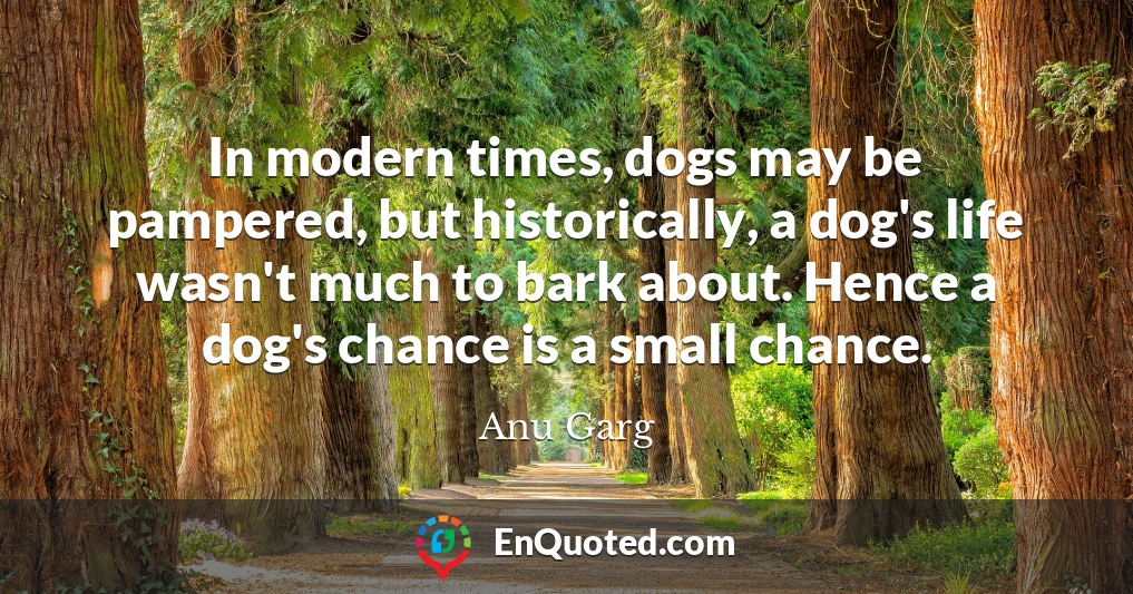 In modern times, dogs may be pampered, but historically, a dog's life wasn't much to bark about. Hence a dog's chance is a small chance.