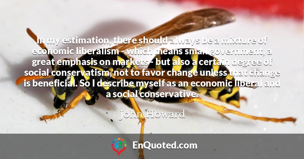 In my estimation, there should always be a mixture of economic liberalism - which means small government, a great emphasis on markets - but also a certain degree of social conservatism, not to favor change unless that change is beneficial. So I describe myself as an economic liberal and a social conservative.